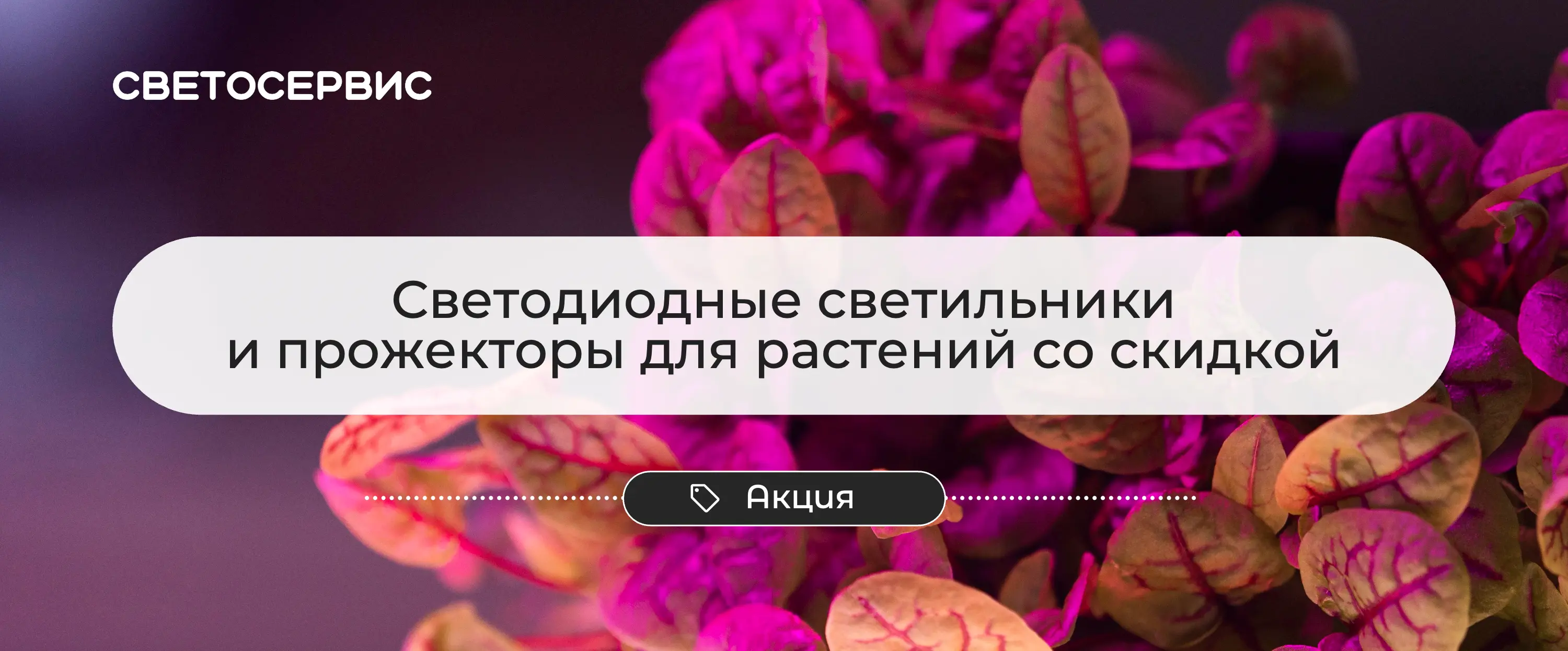 Светодиодные светильники и прожекторы для растений со скидкой